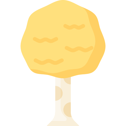 Tree botanical garden yard icon Tree botanical garden yard icon