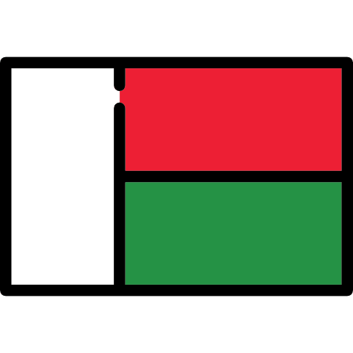 Madagascar flag country flags icon