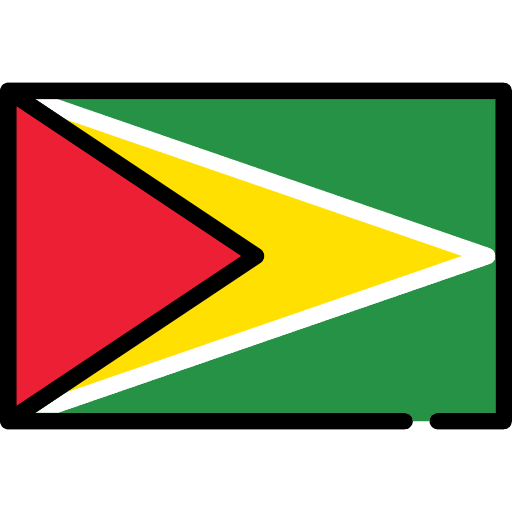 Guyana flag world flags icon