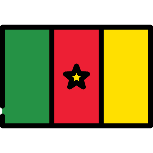 Cameroon nation flag country icon