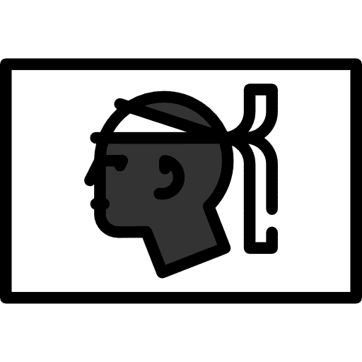 Corsica island france flag icon
