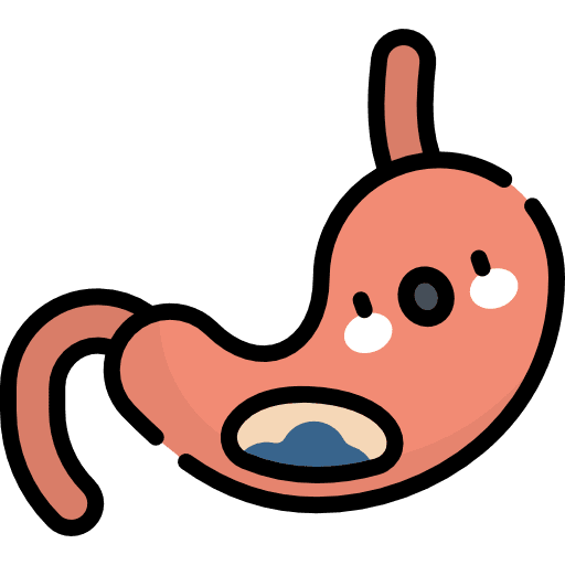 Stomach healthcare and medical body body parts icon Stomach healthcare and medical body body parts icon