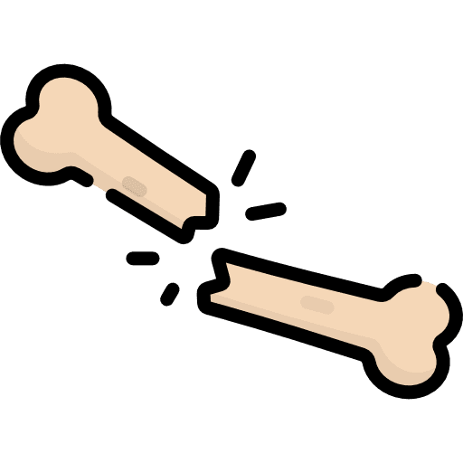 Bone body parts healthcare and medical broken icon Bone body parts healthcare and medical broken icon