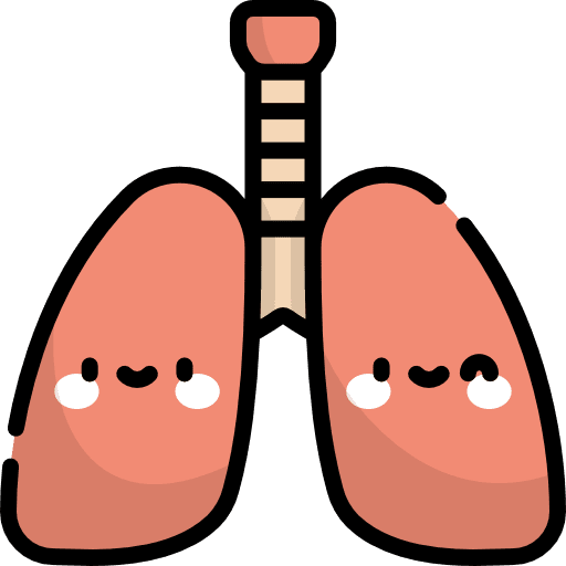 Lungs organ lungs anatomy icon Lungs organ lungs anatomy icon