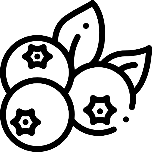 Blueberries fruit healthy food and restaurant icon