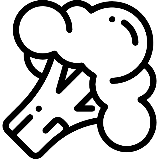 Cauliflower organic vegan food icon