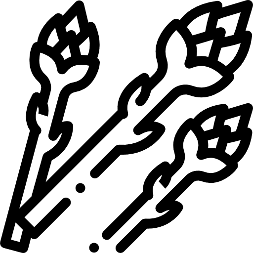 Asparagus food cooking vegetarian icon Asparagus food cooking vegetarian icon