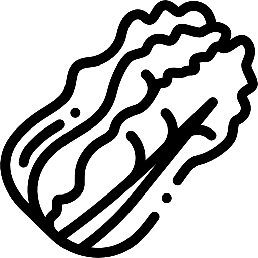 Cabbage greens cabbages cabbage icon Cabbage greens cabbages cabbage icon