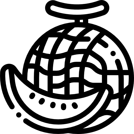 Melon melon diet fruit icon Melon melon diet fruit icon