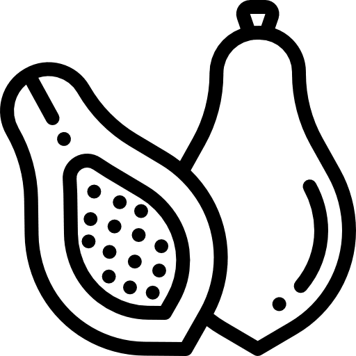 Papaya fruit diet vegan icon Papaya fruit diet vegan icon