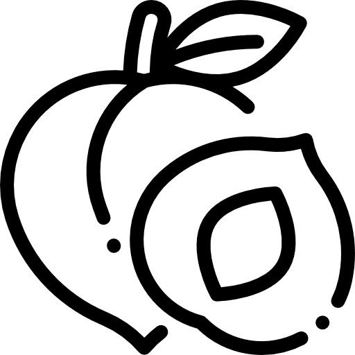 Peach fruit peach vegan icon