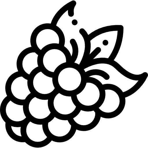 Raspberry blackberry food and restaurant food icon