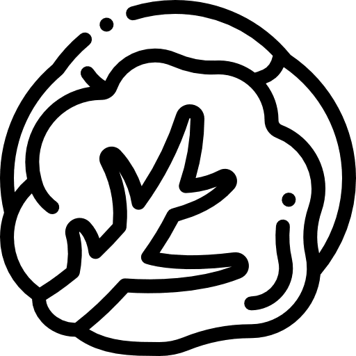 Cabbage fruit cucumber diet icon Cabbage fruit cucumber diet icon