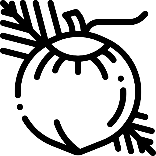 Coconut food and restaurant coconut fruit icon Coconut food and restaurant coconut fruit icon