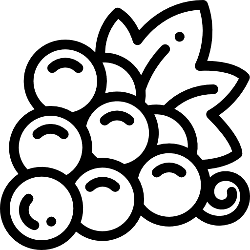 Grapes fruits fruit berry icon Grapes fruits fruit berry icon