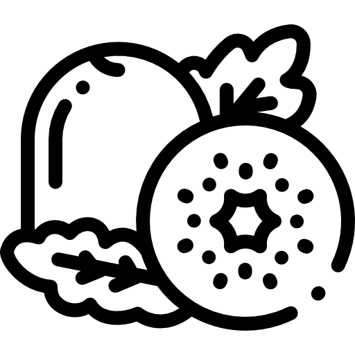 Kiwi vegetarian healthy food food and restaurant icon Kiwi vegetarian healthy food food and restaurant icon