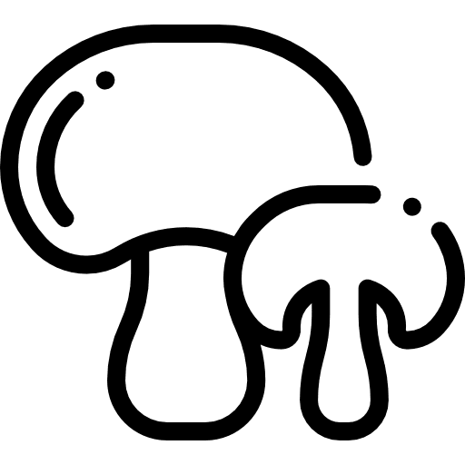 Mushroom mushrooms muscaria food icon Mushroom mushrooms muscaria food icon