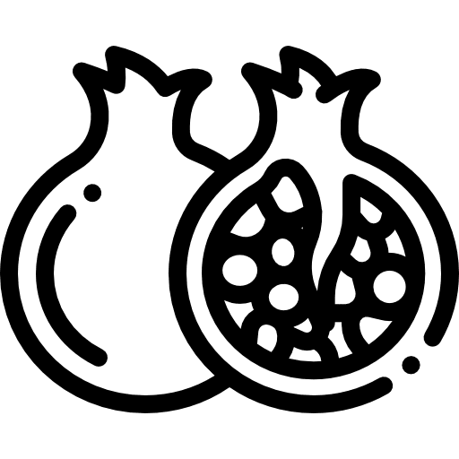 Pomegranate diet fruit vegan icon Pomegranate diet fruit vegan icon