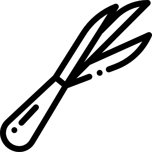 Spring onion healthy food food and restaurant vegetable icon Spring onion healthy food food and restaurant vegetable icon