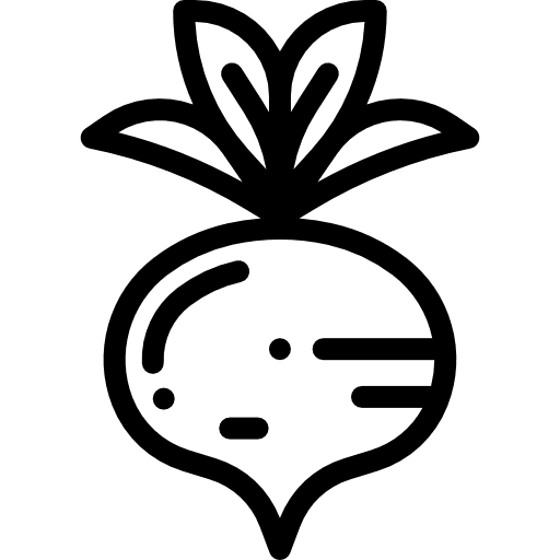 Radishes radish diet food and restaurant icon Radishes radish diet food and restaurant icon