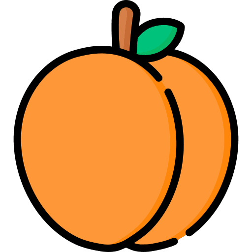 Apricot food and restaurant food vegetarian icon