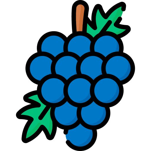 Grapes food berries fruit icon Grapes food berries fruit icon
