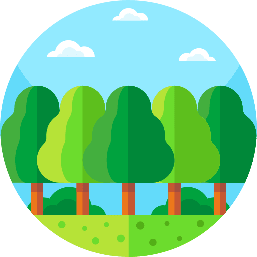 Park trees woods yard icon
