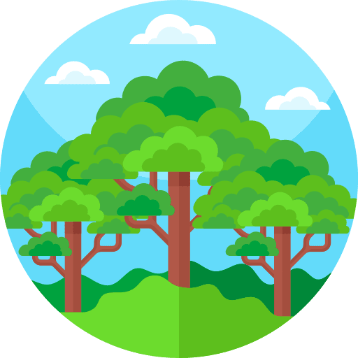 Jungle forest botanic holidays icon