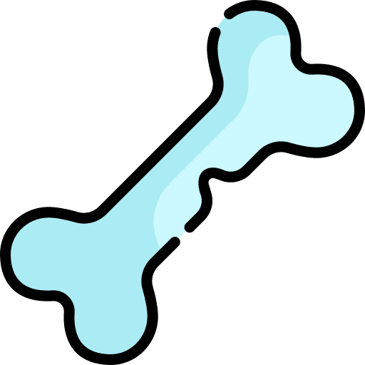 Bone bones medical body parts icon