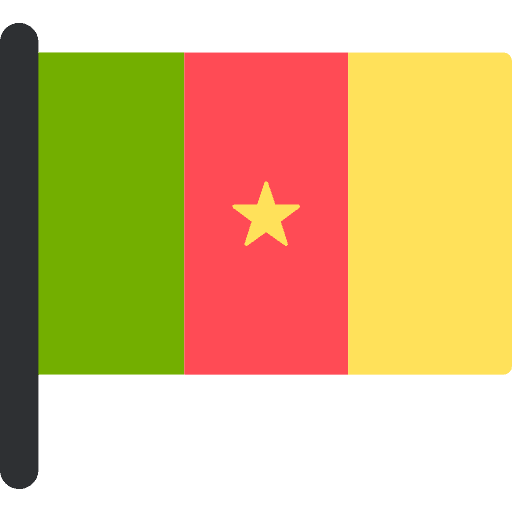 Cameroon country flag flags icon