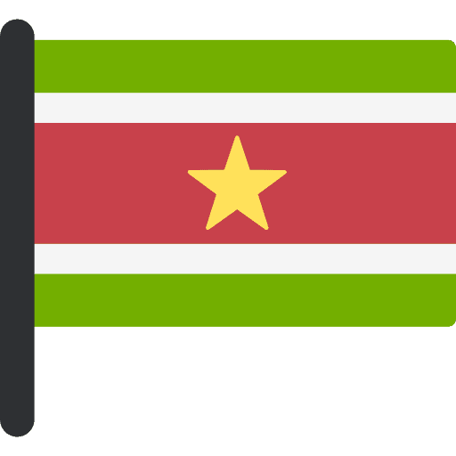 Suriname flag flags country icon