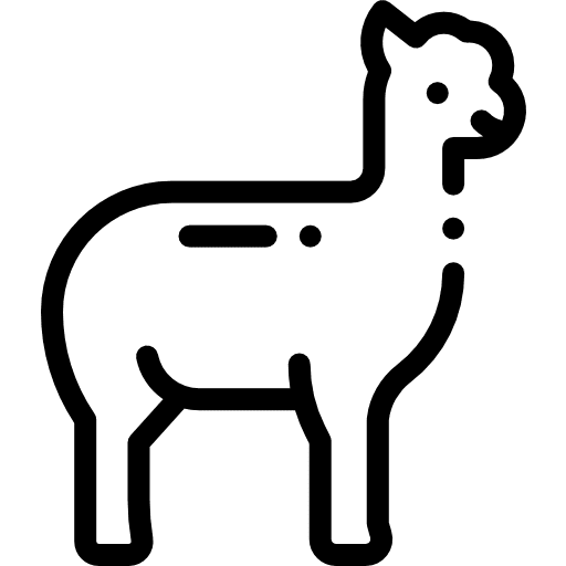 Alpaca alpaca wild life animal icon