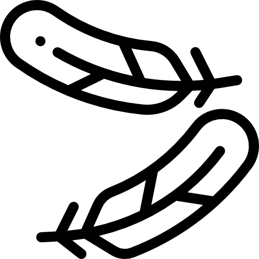 Feathers lightweight miscellaneous soft icon