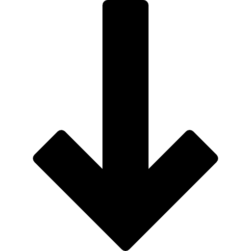 Down arrow lower down arrow arrows icon
