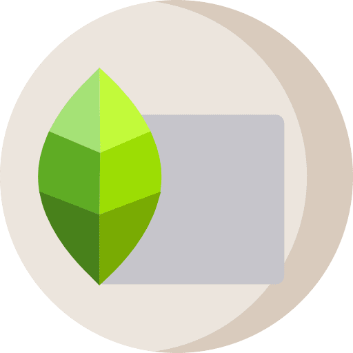 Snapseed logotype social network logo icon Snapseed logotype social network logo icon