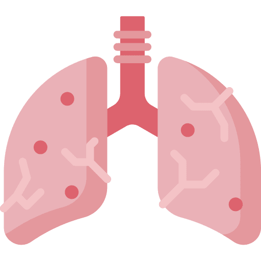 Infection healthcare and medical lungs anatomy icon Infection healthcare and medical lungs anatomy icon