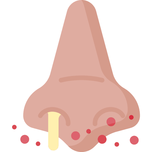 Infection nose air pollution runny nose icon Infection nose air pollution runny nose icon