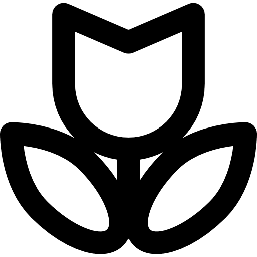 Cotton nature wash flower icon Cotton nature wash flower icon