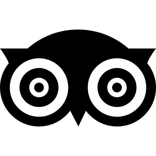 Tripadvisor social media logo brands and logotypes icon