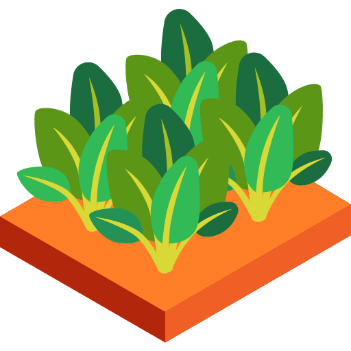 Spinach nature vegetable food icon