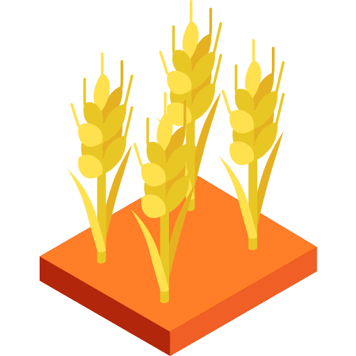 Wheat wheat seeds wheat grain icon