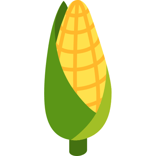 Corn vegan organic vegetarian icon