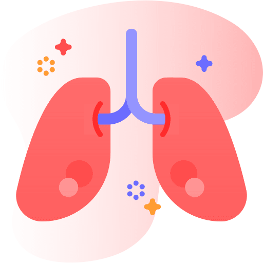 Lungs anatomy breath healthcare and medical icon Lungs anatomy breath healthcare and medical icon
