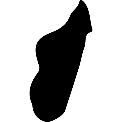 Madagascar island nation africa icon