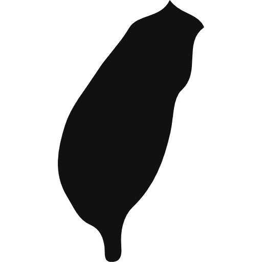 Taiwan asia maps and flags island icon