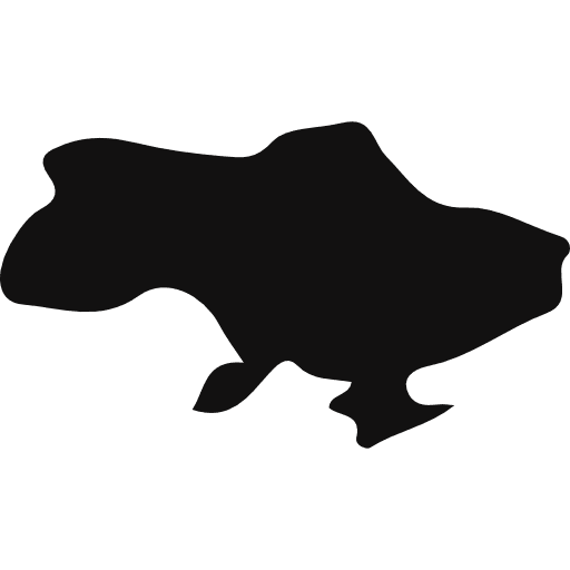 Ukraine geography maps and flags country icon