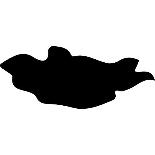 Mongolia maps and flags nation map icon