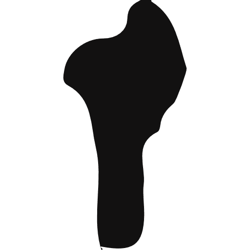 Benin geography country maps and flags icon