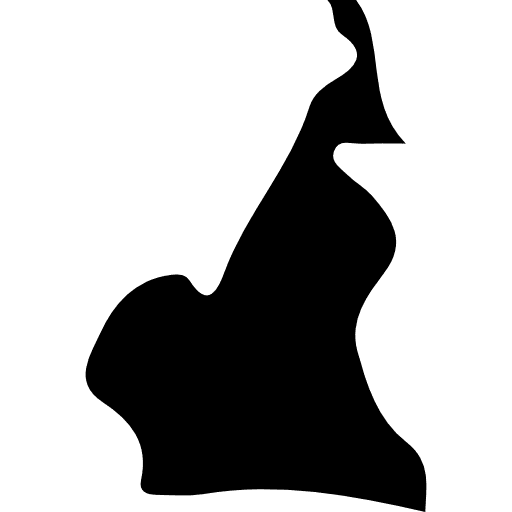 Cameroon africa maps and flags country icon