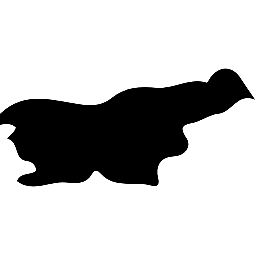 Slovenia europe country map icon